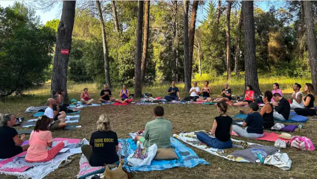 Un groupe de personnes assises en tailleur sur des tapis dans une forêt, pratiquant une séance de yoga en plein air.