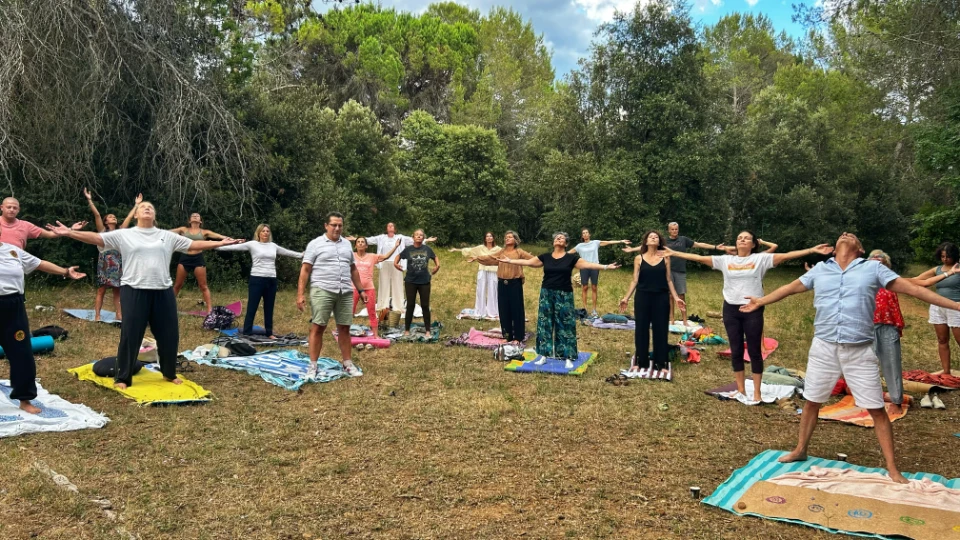 Un groupe de personnes pratiquant le yoga en plein air, sur des tapis, avec les bras tendus vers le ciel.
