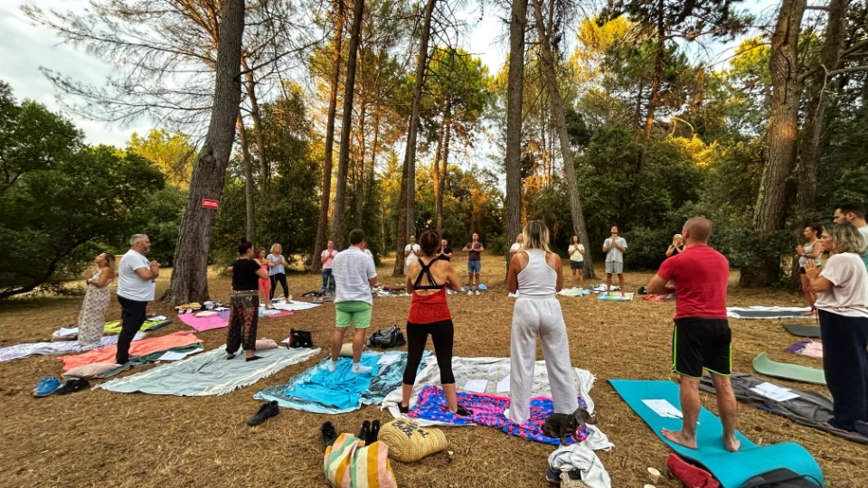 Un groupe de personnes participe à un cours de yoga à l'extérieur, se tenant sur des tapis dans une forêt.