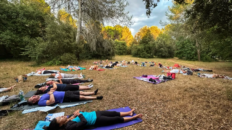 Un groupe de personnes allongées sur des tapis, pratiquant le yoga ou la méditation en plein air, entourées d'arbres.